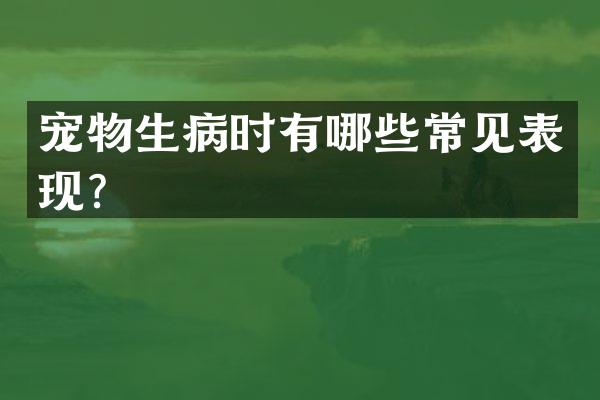 宠物生病时有哪些常见表现？