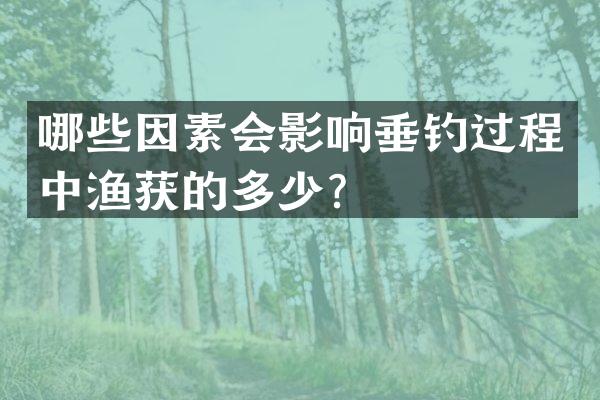 哪些因素会影响垂钓过程中渔获的多少？