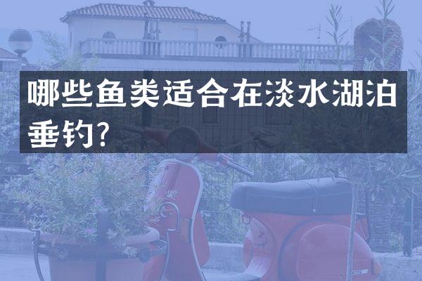 哪些鱼类适合在淡水湖泊垂钓？