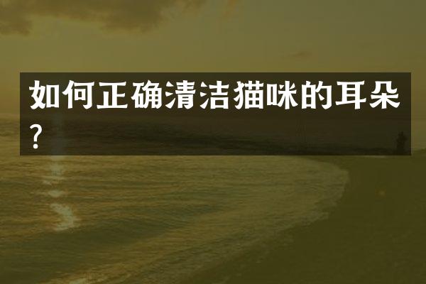 如何正确清洁猫咪的耳朵？