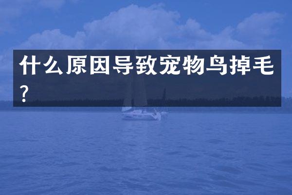 什么原因导致宠物鸟掉毛？