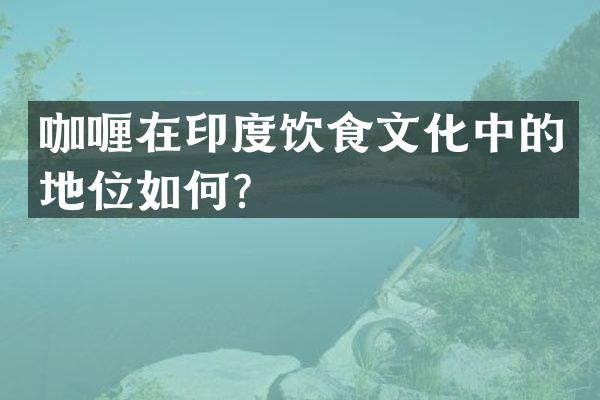 咖喱在印度饮食文化中的地位如何？