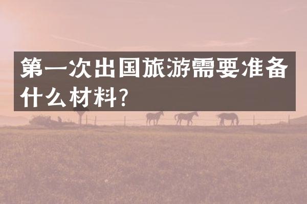 第一次出国旅游需要准备什么材料？