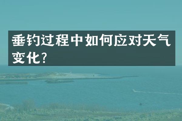 垂钓过程中如何应对天气变化？