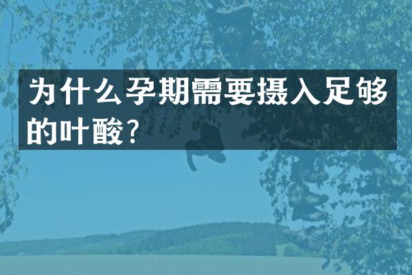 为什么孕期需要摄入足够的叶酸？