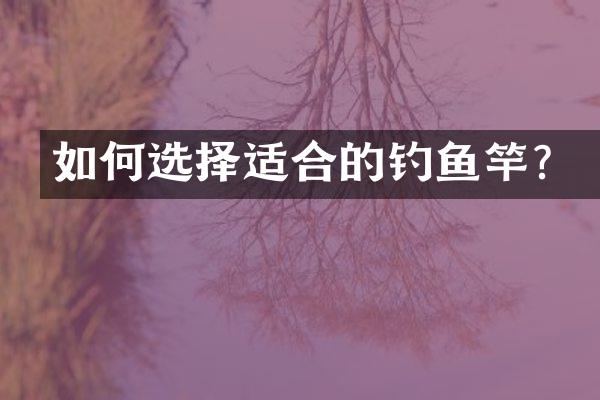 如何选择适合的钓鱼竿？
