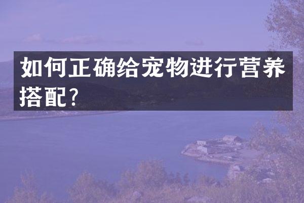 如何正确给宠物进行营养搭配？