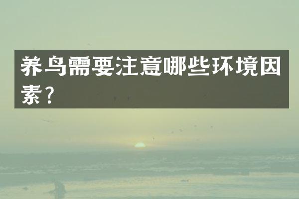 养鸟需要注意哪些环境因素？