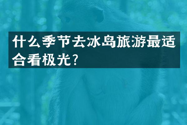 什么季节去冰岛旅游最适合看极光？