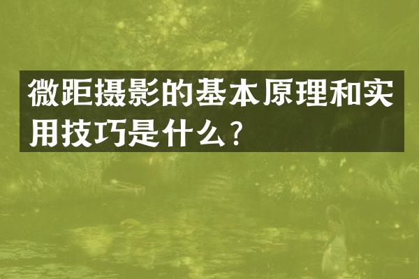 微距摄影的基本原理和实用技巧是什么？
