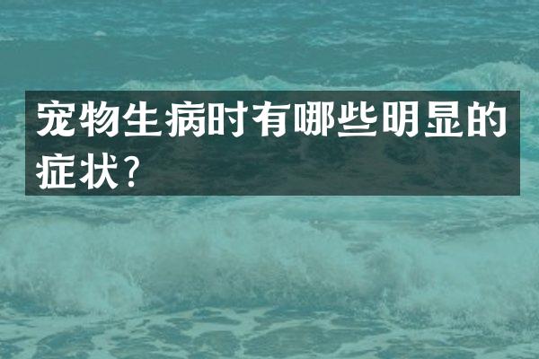 宠物生病时有哪些明显的症状？