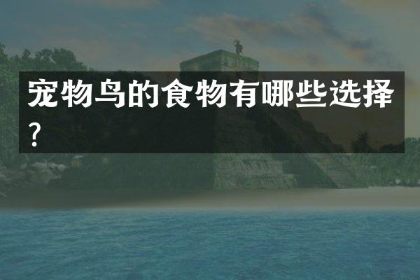 宠物鸟的食物有哪些选择？