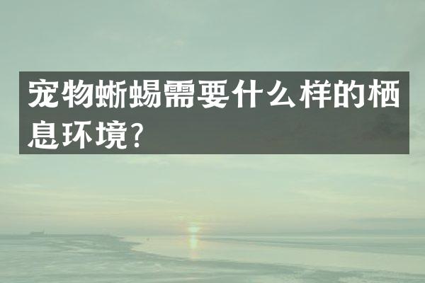 宠物蜥蜴需要什么样的栖息环境？