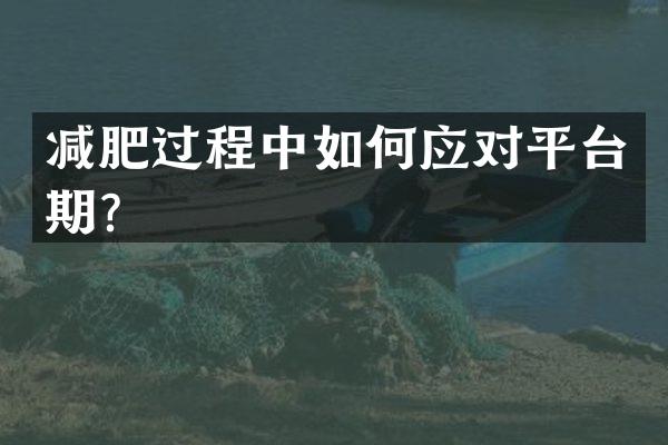 减肥过程中如何应对平台期？