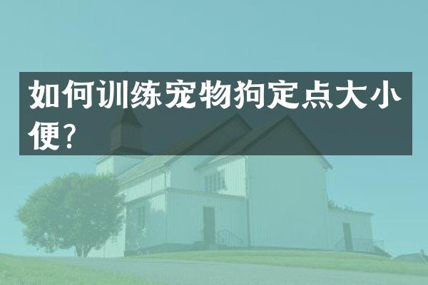 如何训练宠物狗定点大小便？