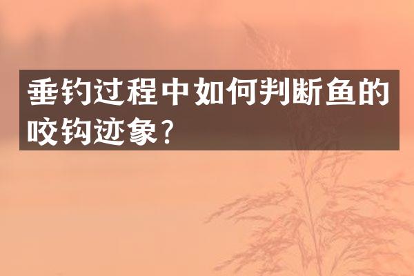 垂钓过程中如何判断鱼的咬钩迹象？