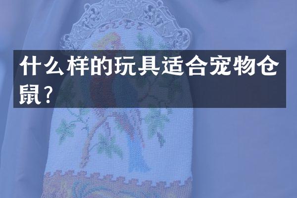 什么样的玩具适合宠物仓鼠？