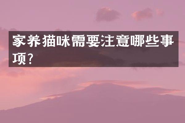 家养猫咪需要注意哪些事项？