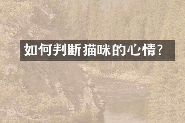 如何判断猫咪的心情？