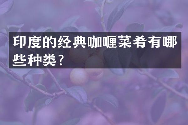 印度的经典咖喱菜肴有哪些种类？