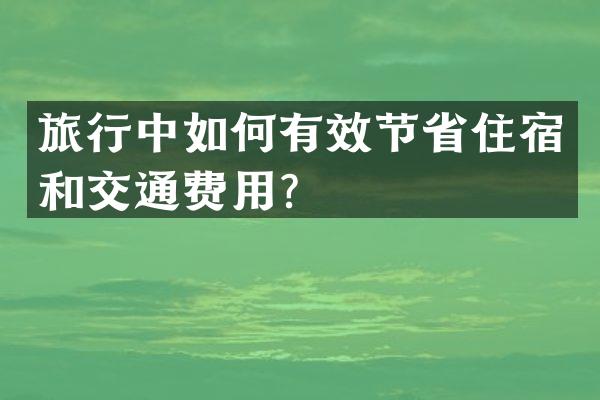 旅行中如何有效节省住宿和交通费用？