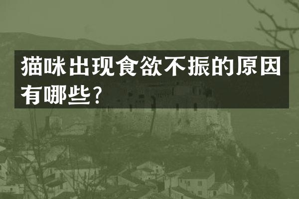 猫咪出现食欲不振的原因有哪些？