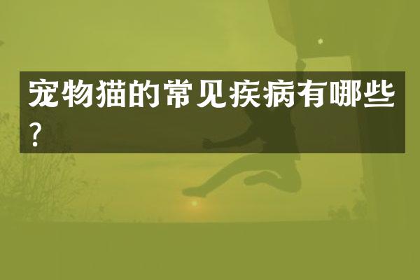 宠物猫的常见疾病有哪些？