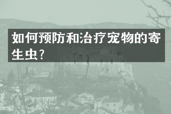 如何预防和治疗宠物的寄生虫？