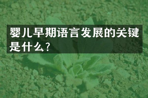 婴儿早期语言发展的关键是什么？
