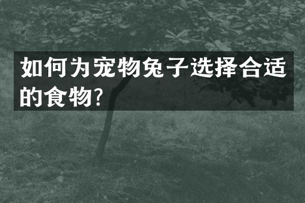 如何为宠物兔子选择合适的食物？