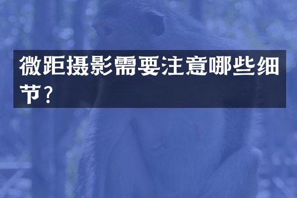 微距摄影需要注意哪些细节？