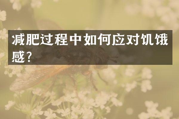 减肥过程中如何应对饥饿感？