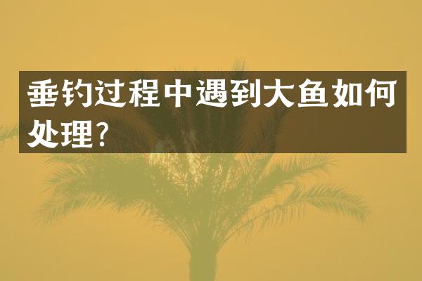 垂钓过程中遇到大鱼如何处理？