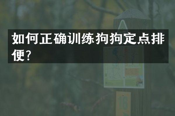 如何正确训练狗狗定点排便？