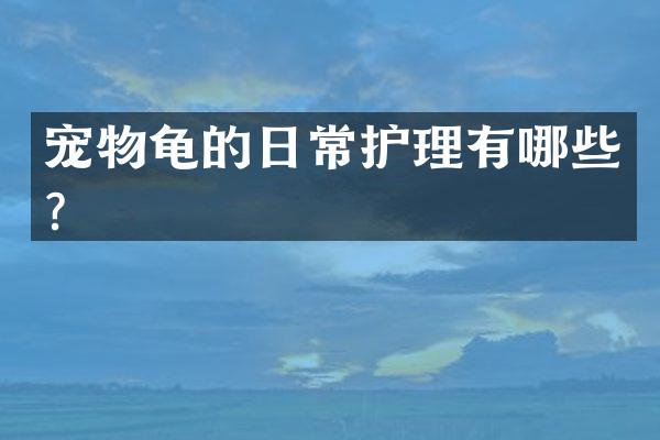 宠物龟的日常护理有哪些？