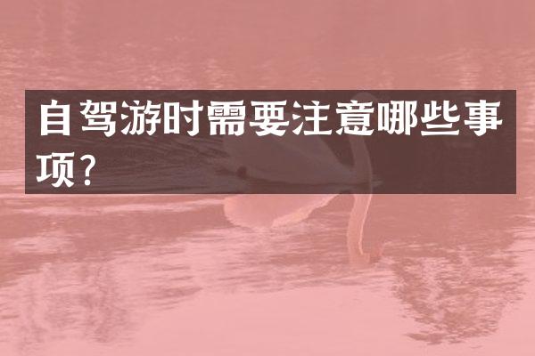 自驾游时需要注意哪些事项？