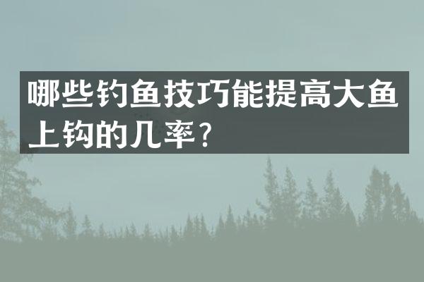 哪些钓鱼技巧能提高大鱼上钩的几率？
