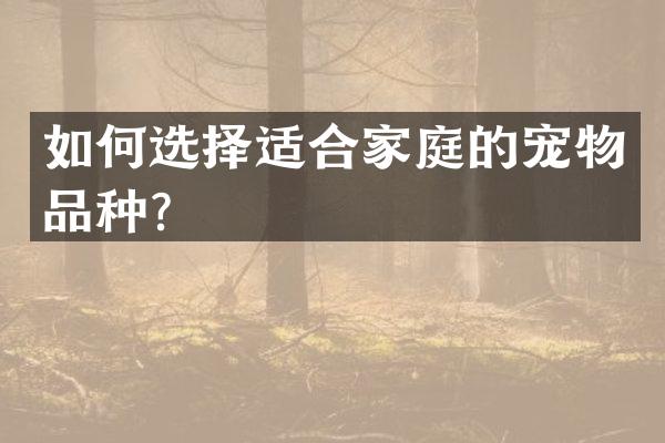 如何选择适合家庭的宠物品种？