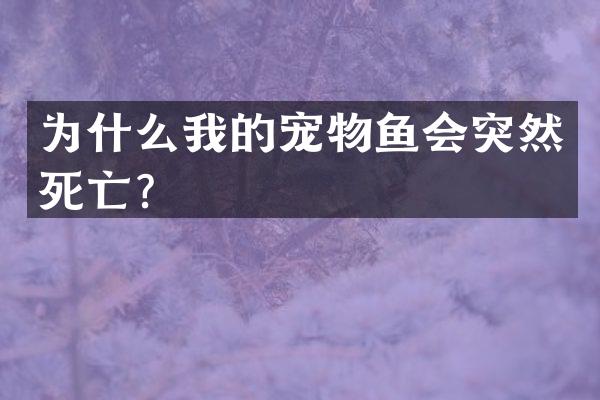 为什么我的宠物鱼会突然死亡？
