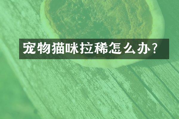 宠物猫咪拉稀怎么办？