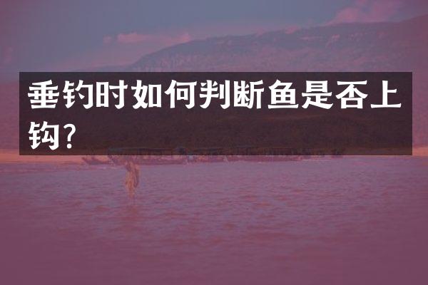 垂钓时如何判断鱼是否上钩？