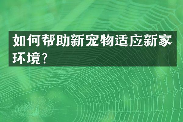 如何帮助新宠物适应新家环境？