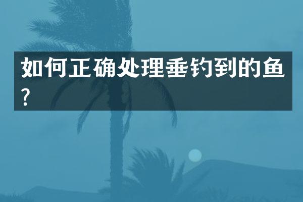 如何正确处理垂钓到的鱼？