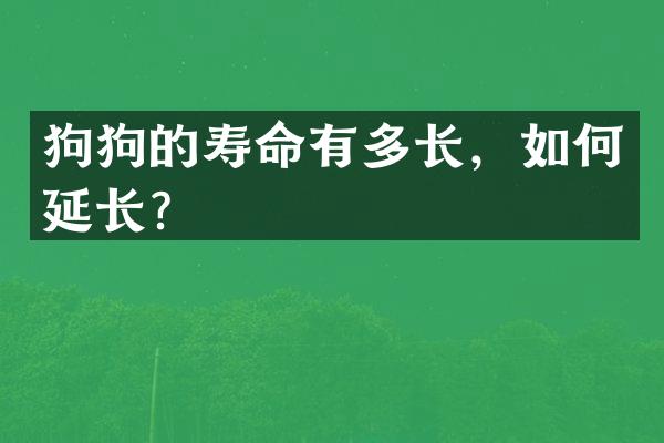 狗狗的寿命有多长，如何延长？