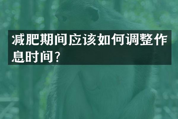 减肥期间应该如何调整作息时间？