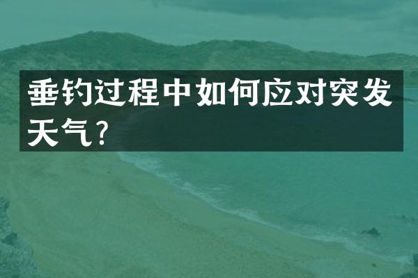 垂钓过程中如何应对突发天气？