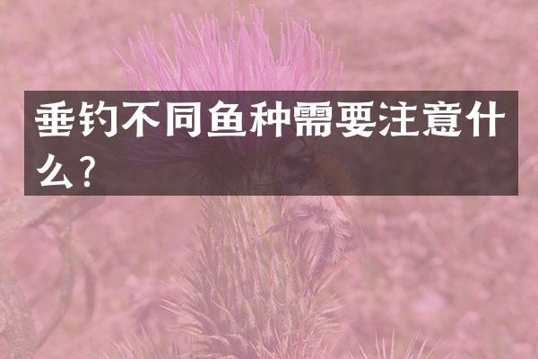 垂钓不同鱼种需要注意什么？