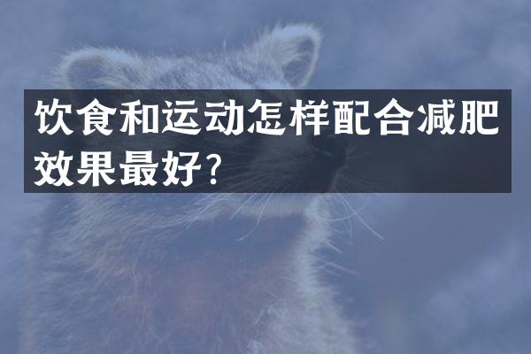饮食和运动怎样配合减肥效果最好？