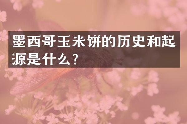 墨西哥玉米饼的历史和起源是什么？