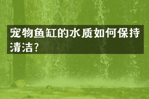宠物鱼缸的水质如何保持清洁？